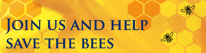 h_banner-BeeCampaign.jpg